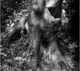 Hovingham Venus 2008, Gelatin silver print